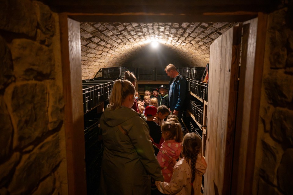 Biodiverzita v sadu očima dětí z MŠ Kunovice (foto 10)