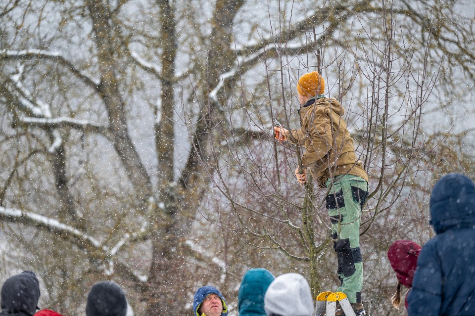 První ovocnářský kurz (foto 4)