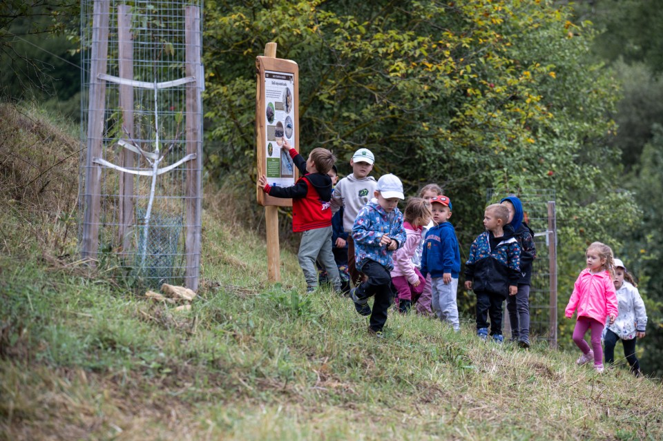 Biodiverzita v sadu očima dětí z MŠ Kunovice (foto 4)